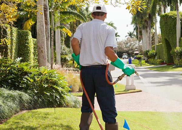 About Harrisburg AR Pest Control Pros